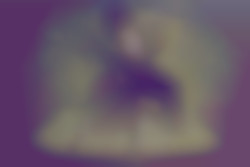 Member Image