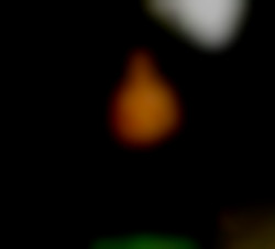 Member Image