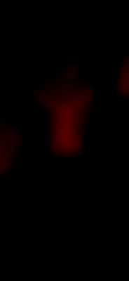 Member Image