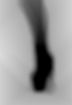 Member Image