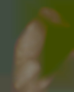Member Image
