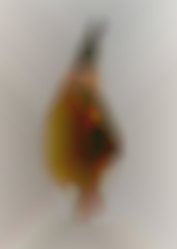 Member Image