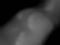 Member Image