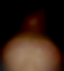 Member Image