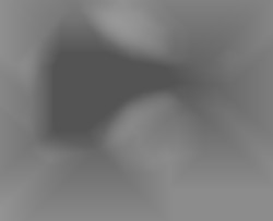 Member Image