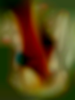 Member Image