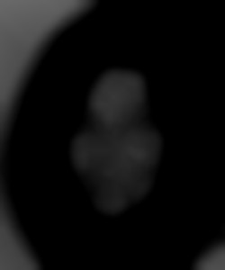Member Image