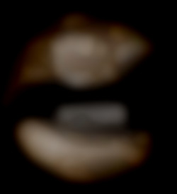 Member Image