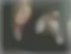 Member Image