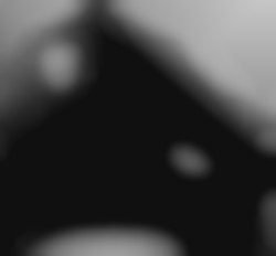 Member Image
