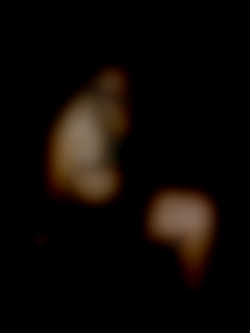 Member Image
