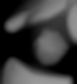 Member Image