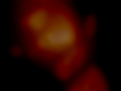 Member Image