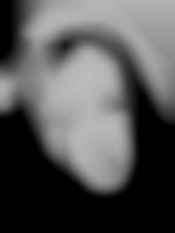 Member Image