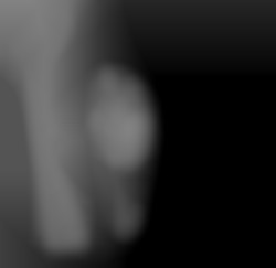 Member Image