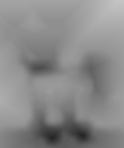 Member Image