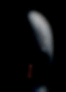 Member Image