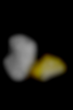 Member Image
