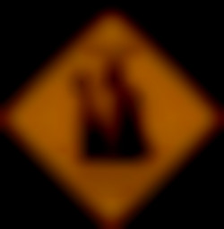 Member Image