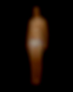 Member Image