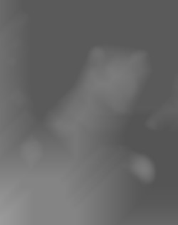 Member Image
