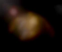 Member Image