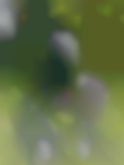 Member Image