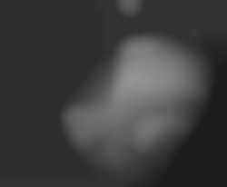 Member Image
