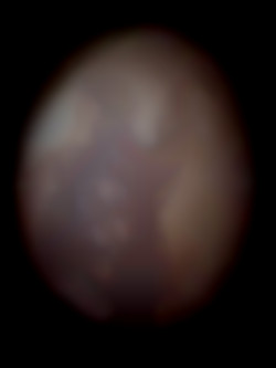 Member Image