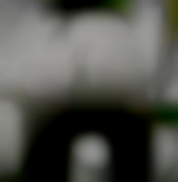 Member Image