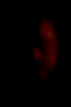 Member Image