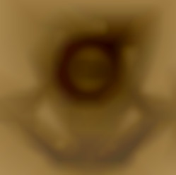 Member Image