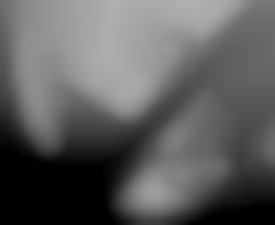 Member Image