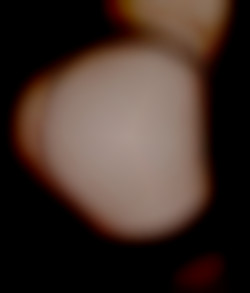 Member Image