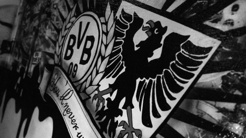 Member Image