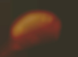 Member Image