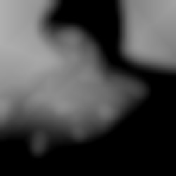Member Image