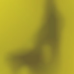 Member Image
