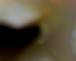 Member Image