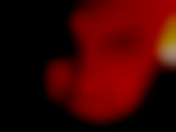Member Image