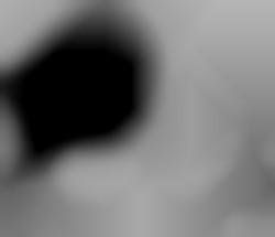 Member Image