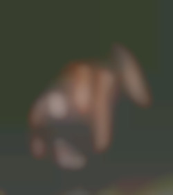 Member Image