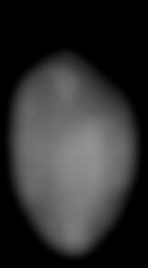 Member Image