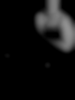 Member Image