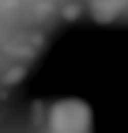 Member Image