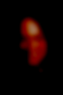 Member Image