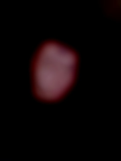 Member Image