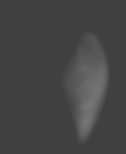 Member Image