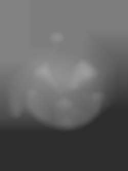 Member Image