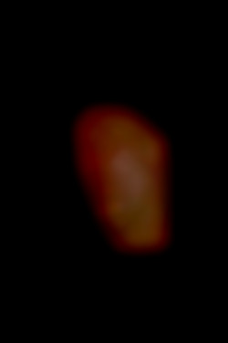 Member Image